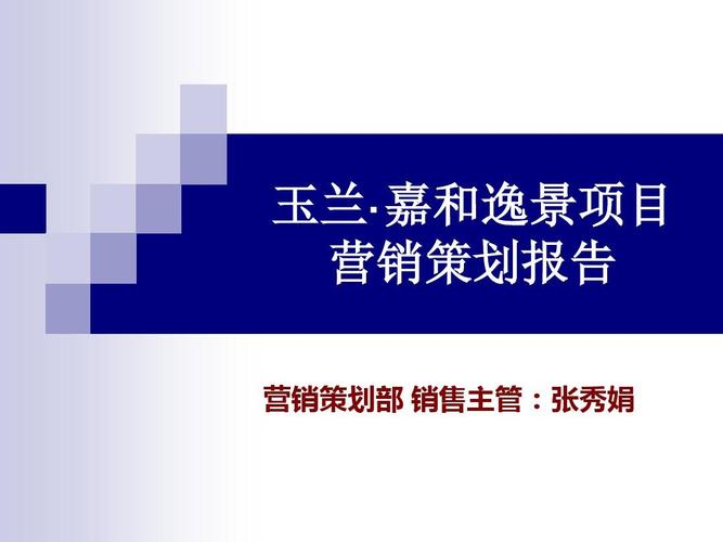 某公司项目营销策划报告ppt